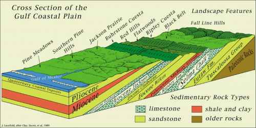 Alabama Geology 269.jpg