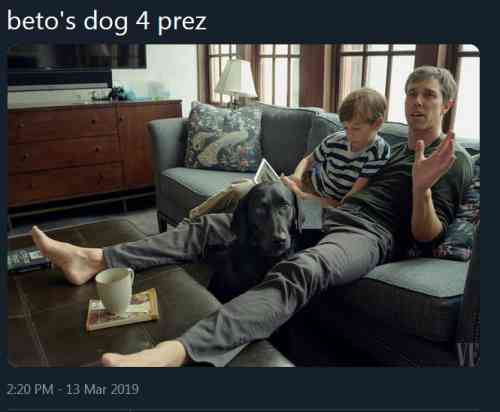 Beto's Dog Photo.JPG