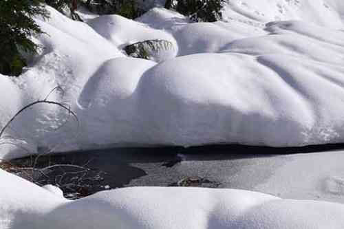 Blog snow sculpture.jpg