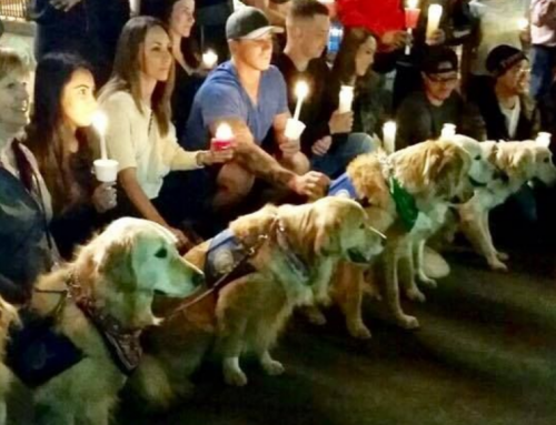 Candlelight Service - LLC Comfort Dogs.PNG