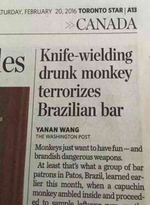 Drunk-Monkey.jpg