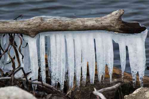 Icey driftwood.jpg
