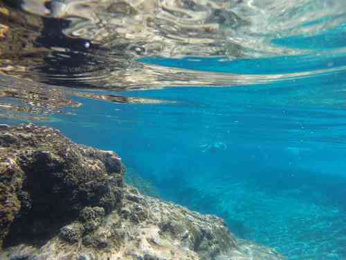 Ichetucknee-headspring-underwater (1).jpg