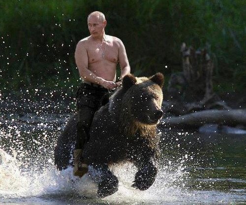 Putin-rides-a-bear-500.jpg