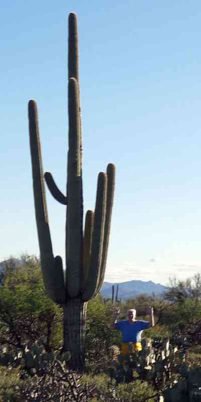 Saguaro.jpg