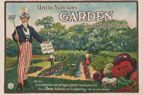 Sam says garden.jpg