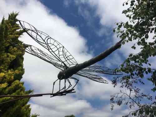 Sculpture Show Watsonville garden dragon.jpg