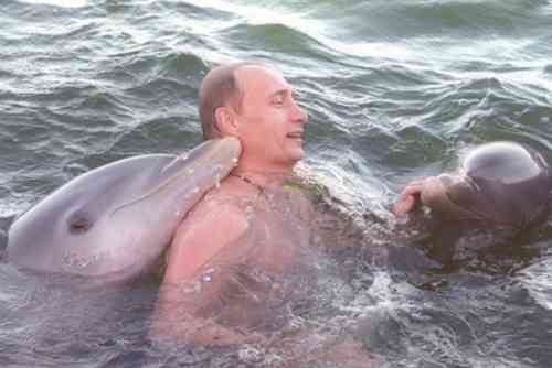 Vladimir-Putin-With-Animals5.jpg