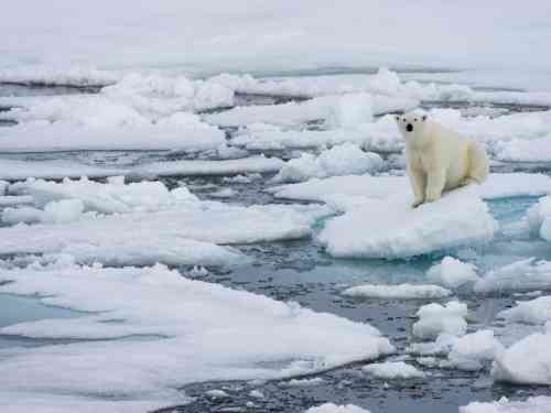 arctic ice.jpg