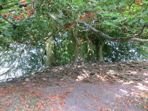 avebury (26).jpg