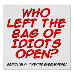 bag of idiots.jpg