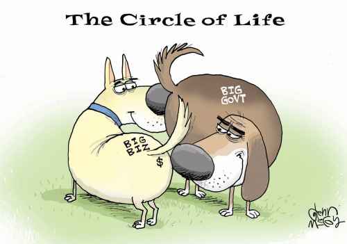 circle of life DC.jpg