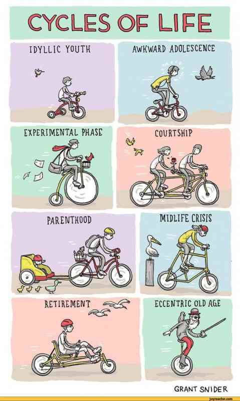cycle of life.jpg