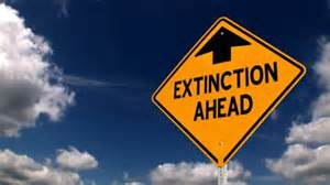 extinction ahead.jpg