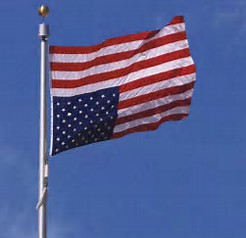 flag in distress.jpg