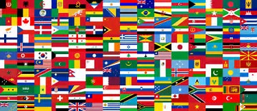 global revolution flag.jpg