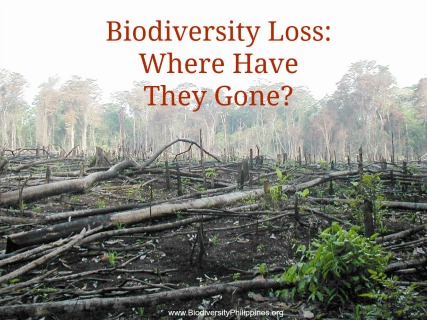 loss of biodiversity.jpg