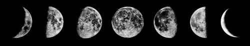 lunar cycle_NEW.jpg