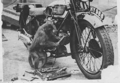 monkey wrench.jpg