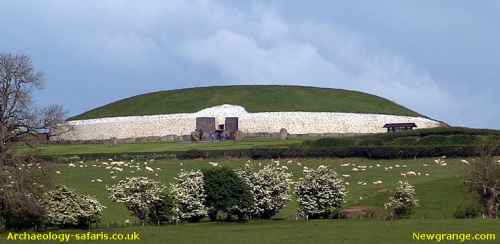 newgrange-safaris.jpg