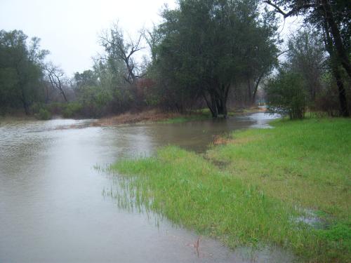 Oat Valley Creek backup