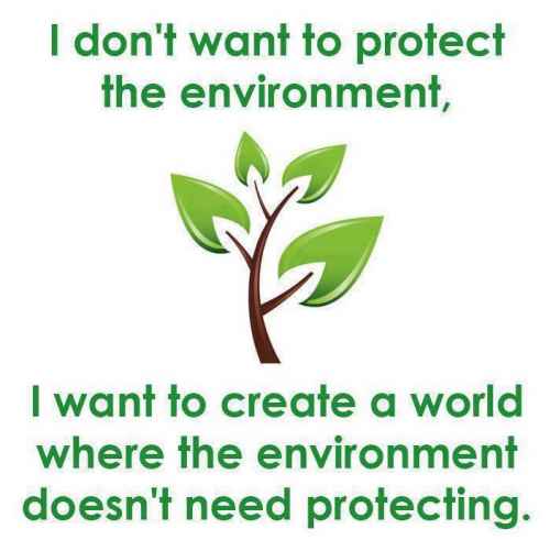 protect the environment.jpg