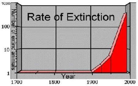 rate of extinction.jpg