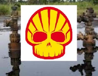 shell scull_0.jpg