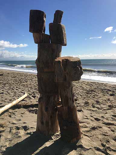 stacked logs beach.jpg