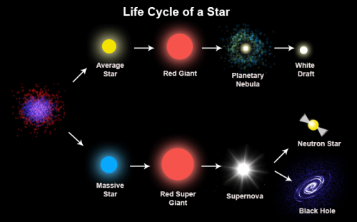 star cycle.png