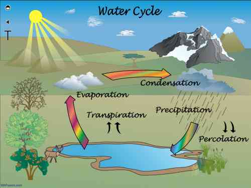 water cycle_0.jpg
