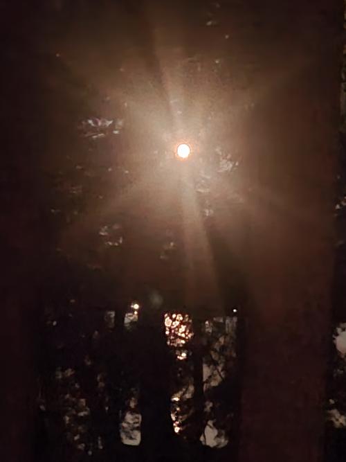 20250909_203704.jpg