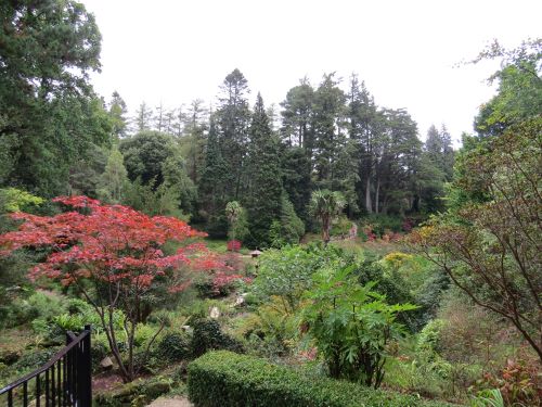 330 Powerscourt garden (48).JPG