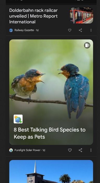 AI-8best-talking-pet-birds.jpg