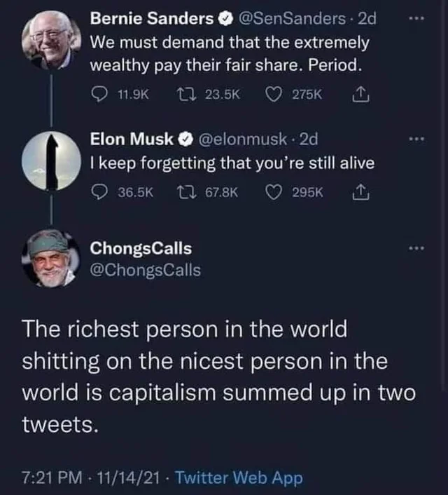 Bernie-Musk-Chong.jpg