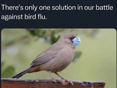 Birdflumask.jpg