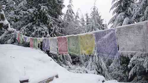 Blog Prayer Flags_0.jpg