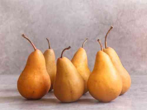 Bosc-Pears.jpg