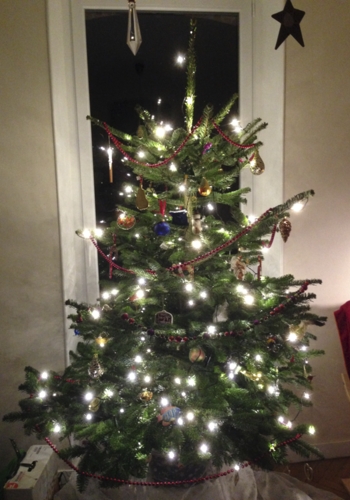 Christmas Luminaires Our Tree.jpg