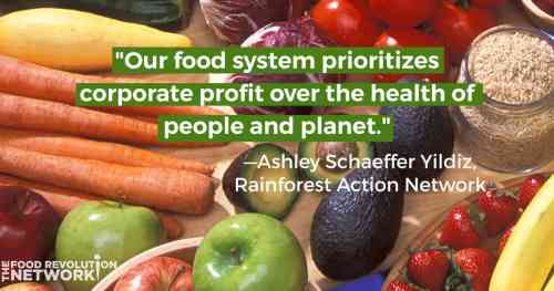 Corporate-food-system-3017524629.jpg