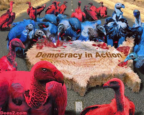 DD-democracy.gif