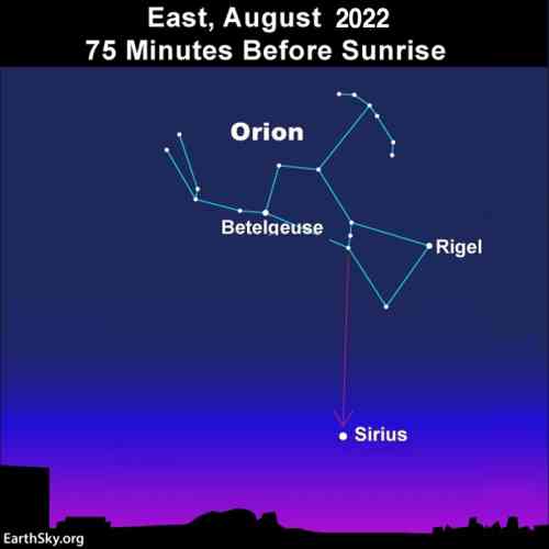 East-morning-Sirius-Orion-Aug-2022.jpg