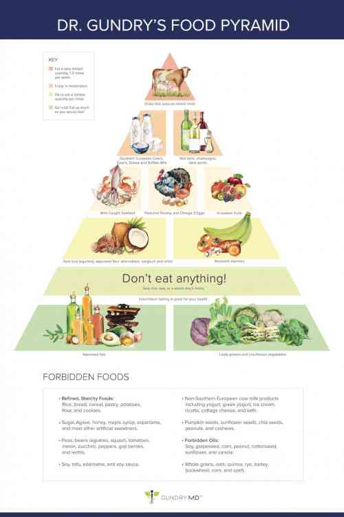 Gundry food pyramid.jpg
