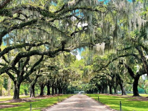 HistoricalSitesCharlestonSC02-1024x768.jpg