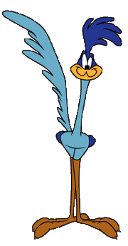 Looneytunes-roadrunner.gif