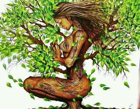OT - Tisseewoonatis - tree woman_0.jpg