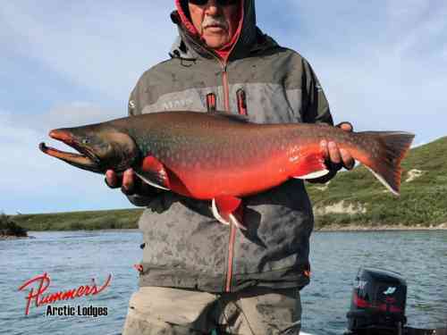 Plummers-Fishing-Lodge-Arctic-Char-4-846x634.jpg