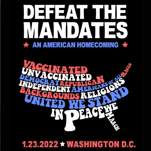 Screenshot 2022-01-12 at 07-01-52 Defeat The Mandates DC – United we stand, in peace we march.png