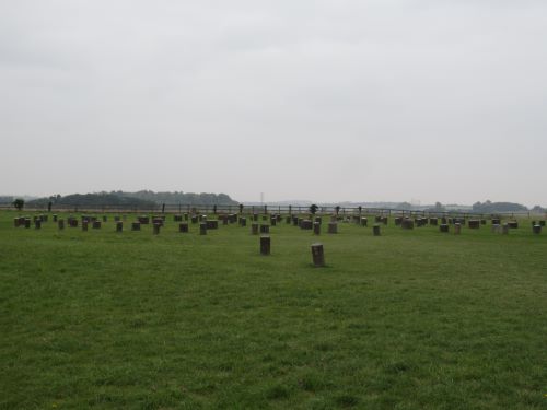 Stonehenge trip (4.5).JPG
