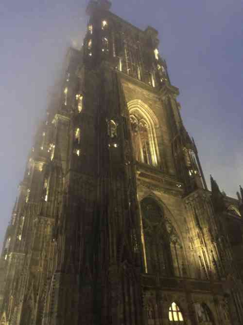 Strasbourg Rose Cathedral.jpg